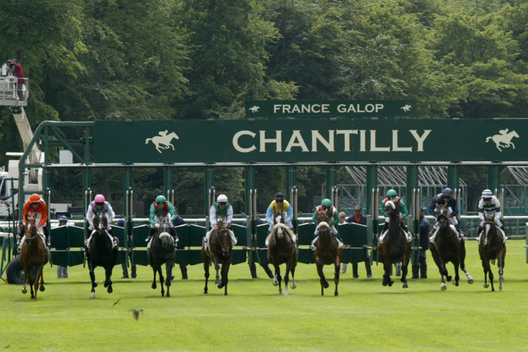 Les prochaines courses hippiques à Chantilly